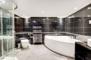 Photo 10- click for photo gallery